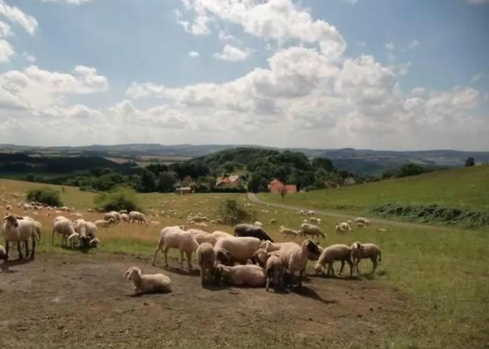 度假居 Mia By Interhome Bremke (Lippe)