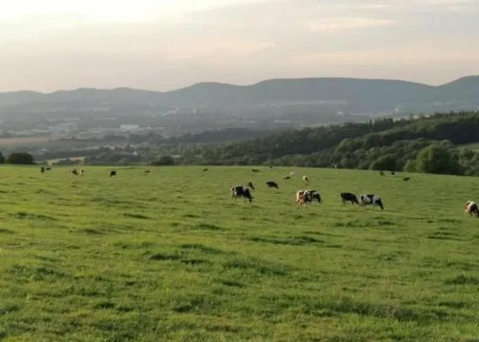 度假居 Mia By Interhome