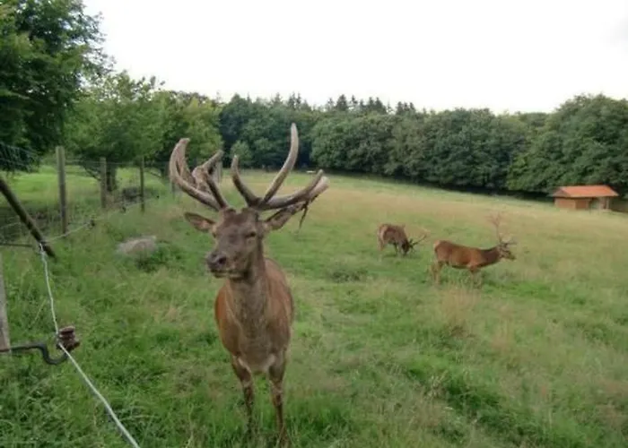 Mia By Interhome 度假居 Bremke (Lippe)