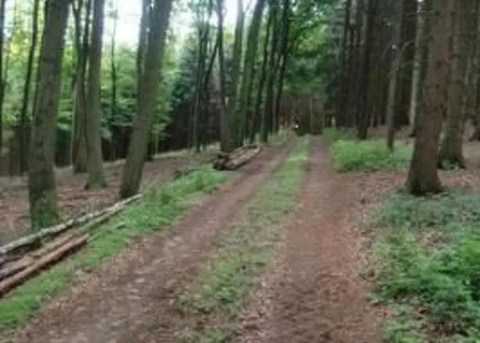 Mia By Interhome 度假居 *